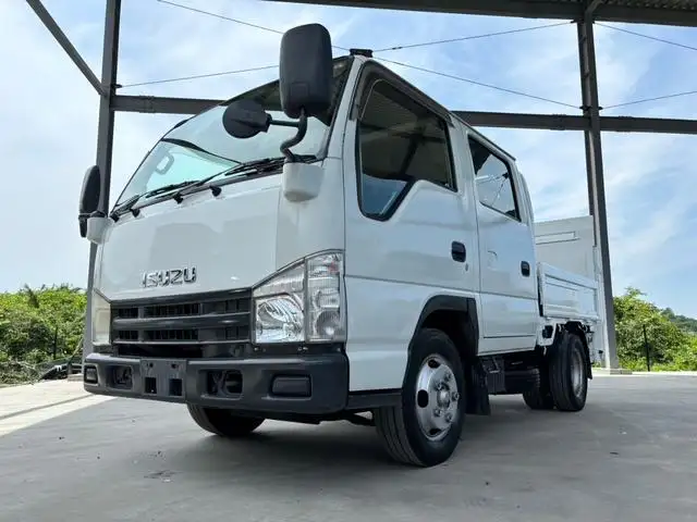 いすゞ エルフ 小型 平ボディ Wキャブ パワーゲート の中古トラック【車両No.166557】