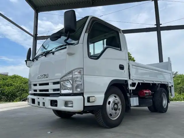いすゞ エルフ 小型 平ボディ パワーゲート 床鉄板 の中古トラック【車両No.169276】