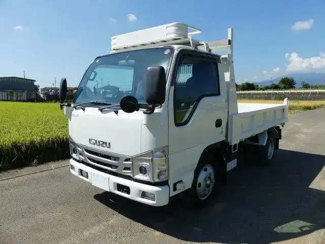 いすゞ エルフ 小型 ダンプ 2RG-NKR88AD R4 の中古トラック【車両No.174821】