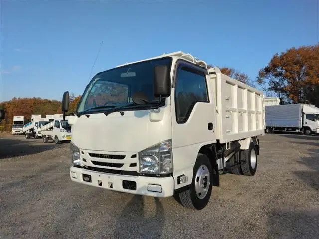 いすゞ エルフ 小型 ダンプ 土砂禁 TPG-NKR85AN の中古トラック【車両No.178736】