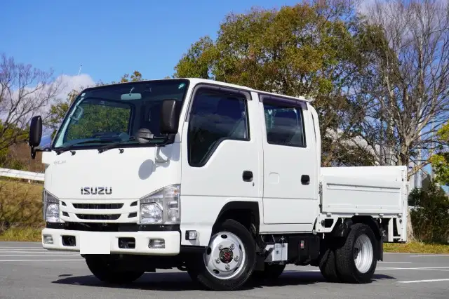 いすゞ エルフ 小型 平ボディ Wキャブ パワーゲート の中古トラック【車両No.185023】