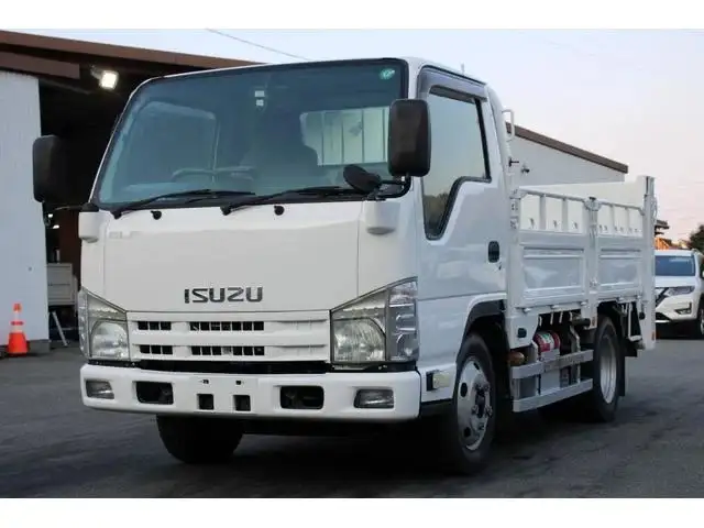 いすゞ エルフ 小型 平ボディ パワーゲート 床鉄板 の中古トラック【車両No.185064】